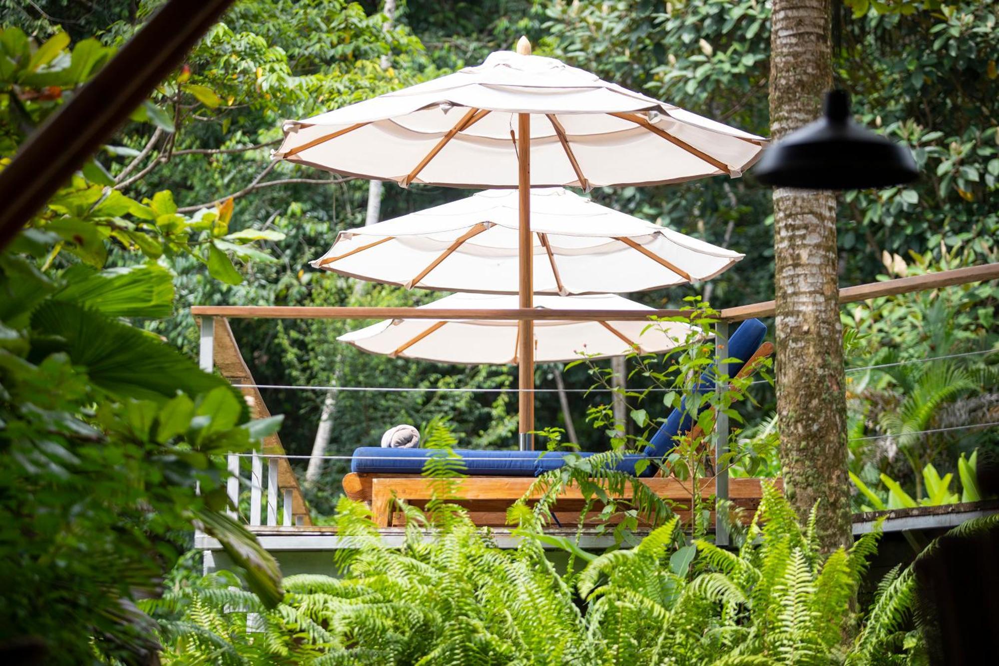El Remanso Rainforest Lodge Puerto Jiménez Exterior foto
